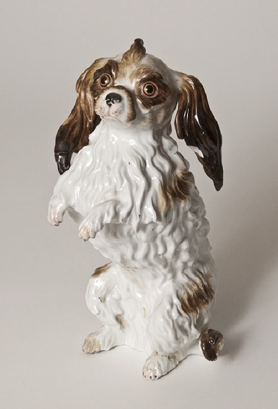 Figurin, Wachtelhund