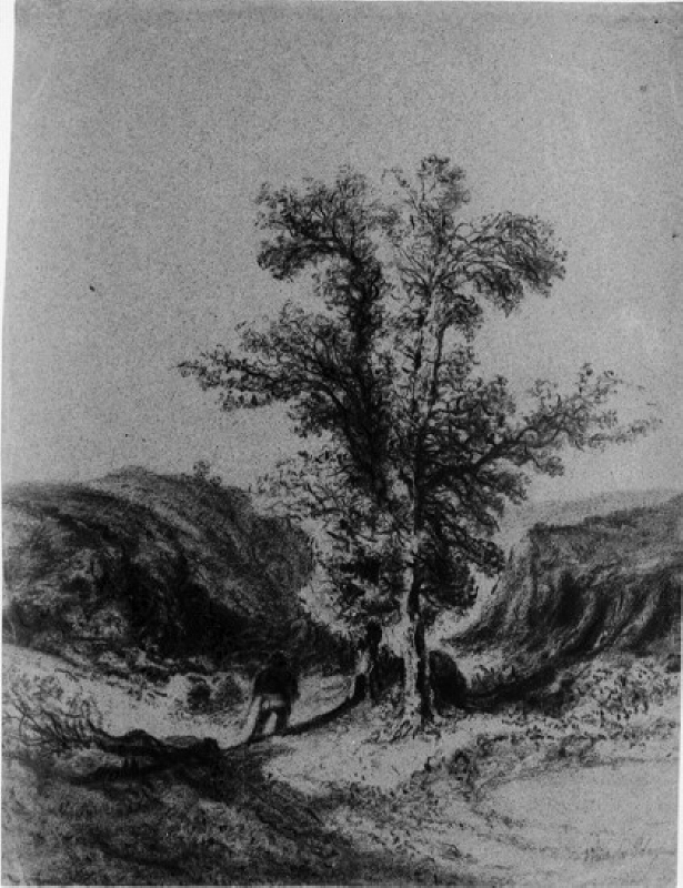 Vandringsman invid två stora träd
