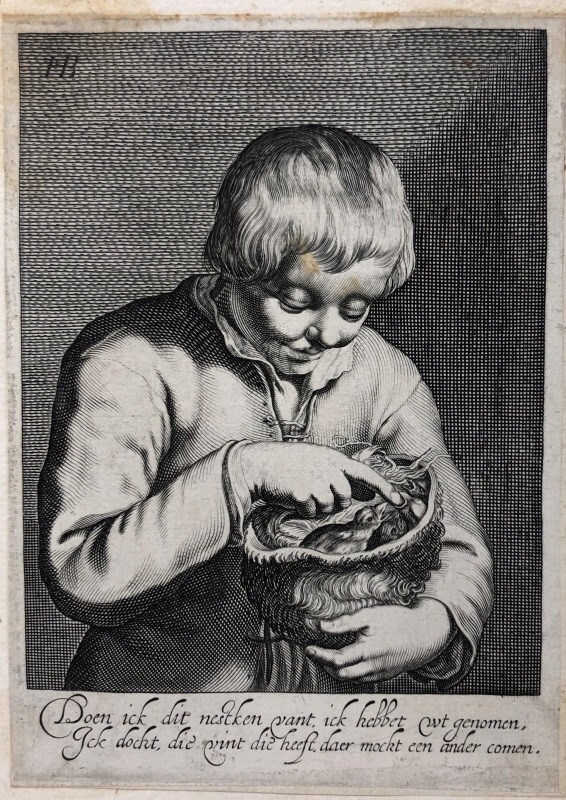 Pojke som håller ett fågelbo i händerna