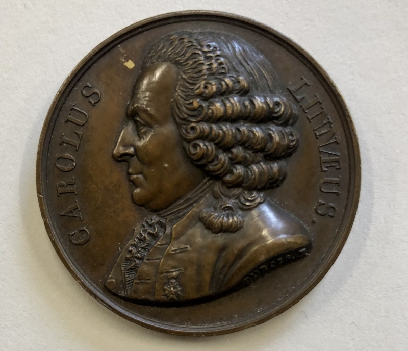 Carl von Linné (1707-1778), naturforskare