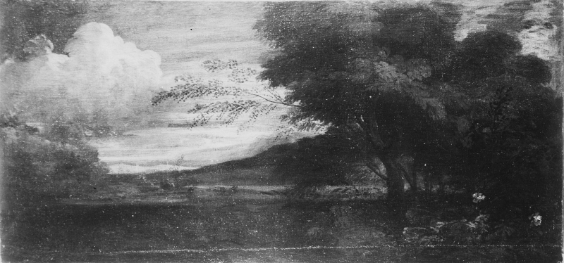 Landscape with a Grove