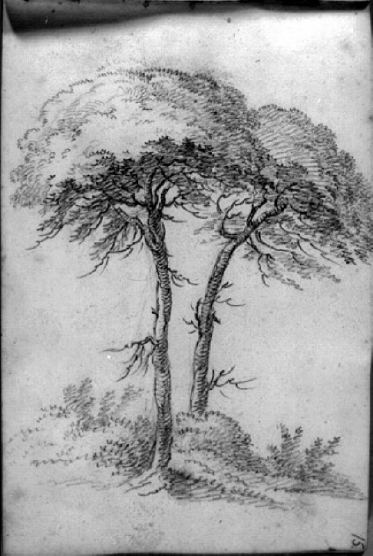 Två träd. Ingår i skissbok med motiv från Italien
