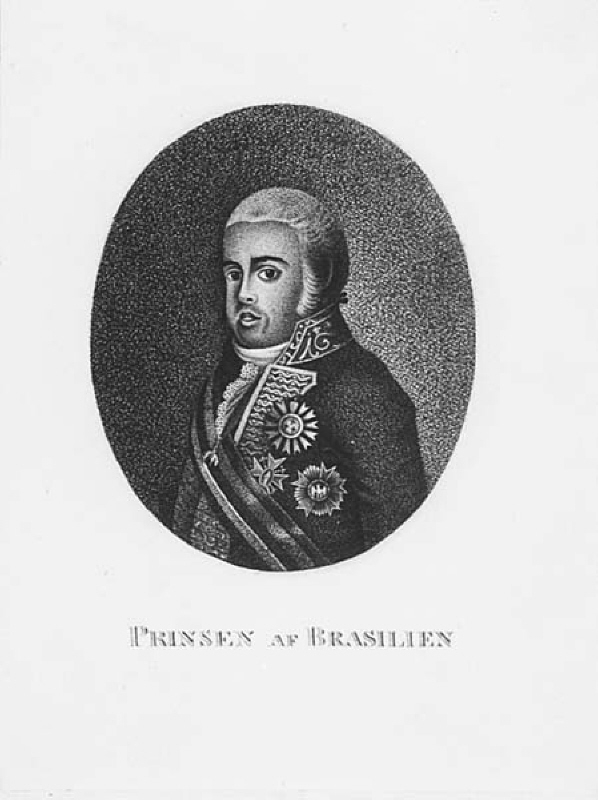 Johan Josef Ludvig, prins av Brasilien