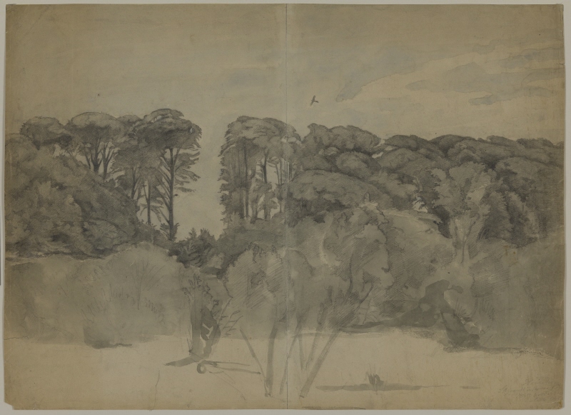 Studie av skogsparti, 1864