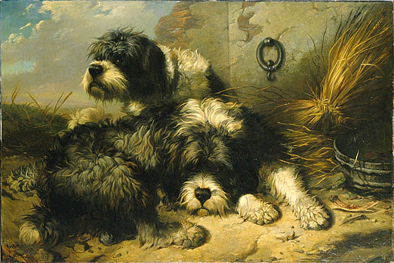 Två tartariska hundar
