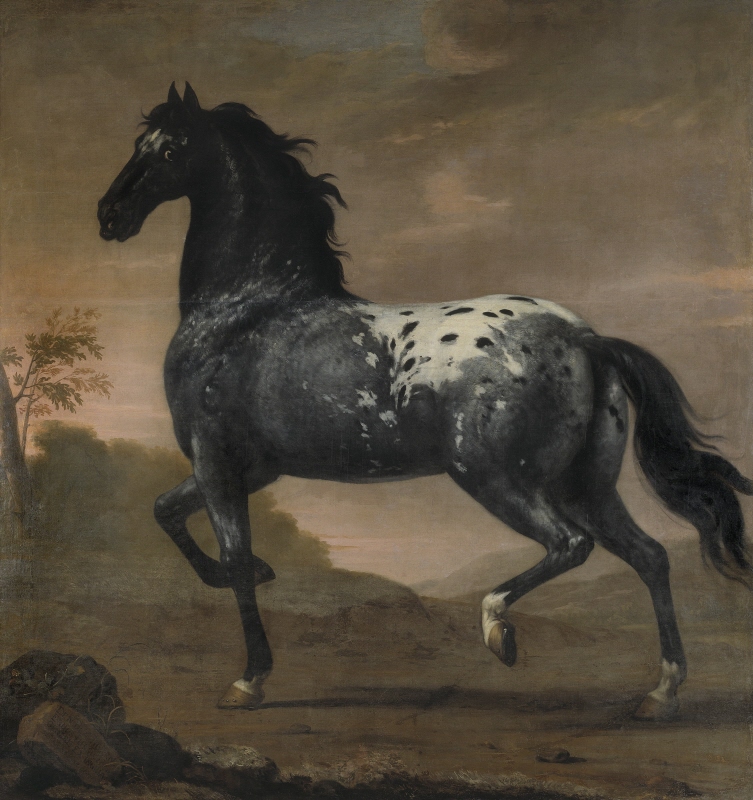 Charles XI’s Horse Blå Tigern, 1673