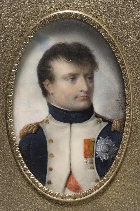 Napoleon I, fransmännens kejsare