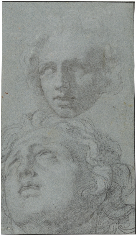 Study. Two heads of young men
