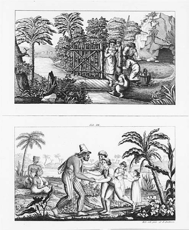 Två bokillustrationer med tropiska landskapsmotiv
