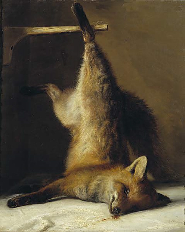 Dead Fox