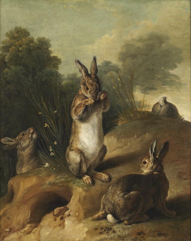 Kaniner