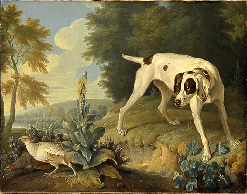 White Dog and Pheasant