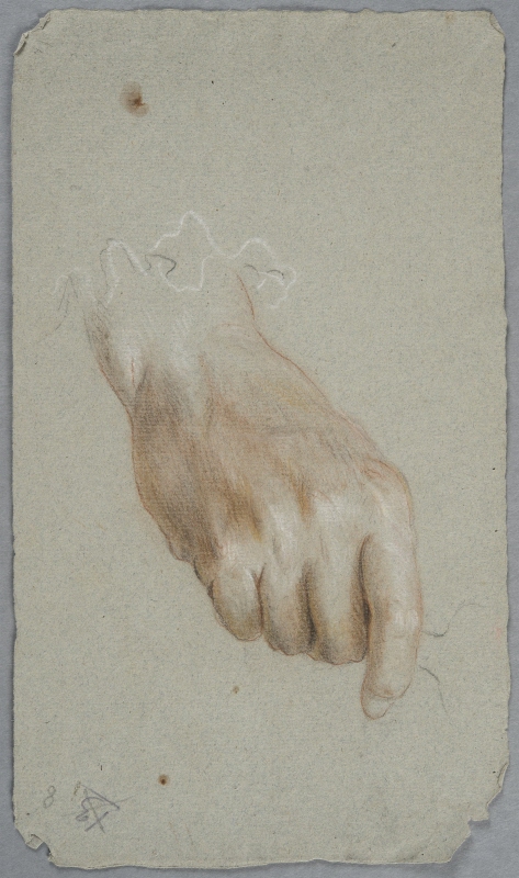 Studie av högerhand med knutna fingrar