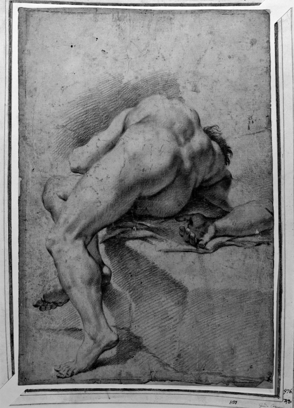 Reclining male nude see from the back