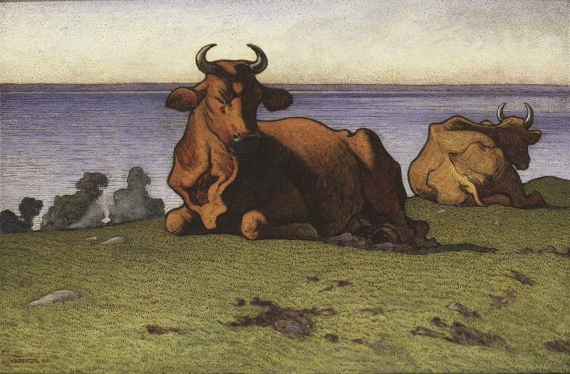 Resting Cows. Motif from Öland