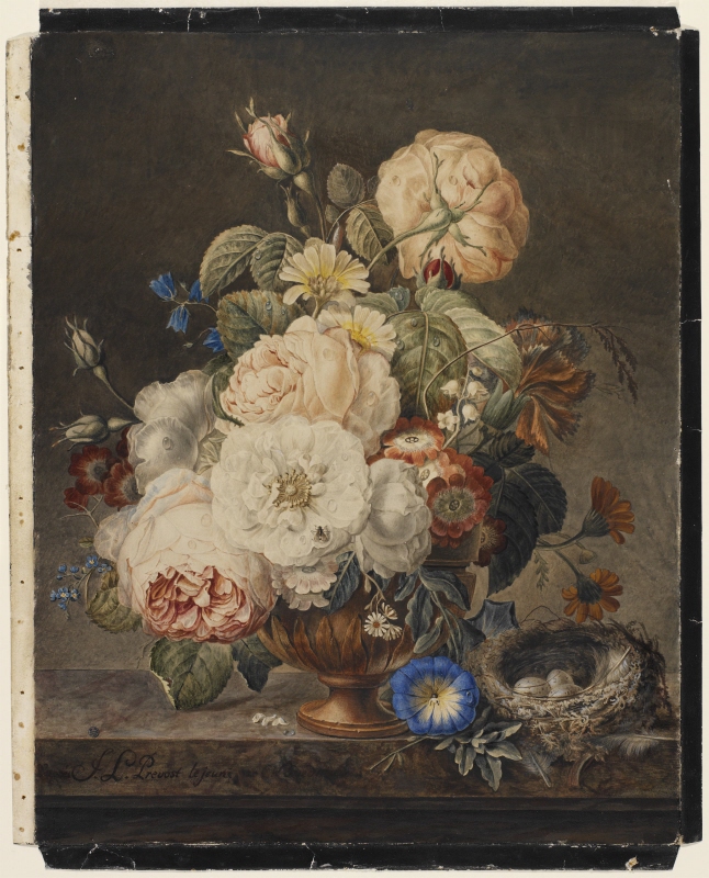 Blommor i en vas samt fågelbo