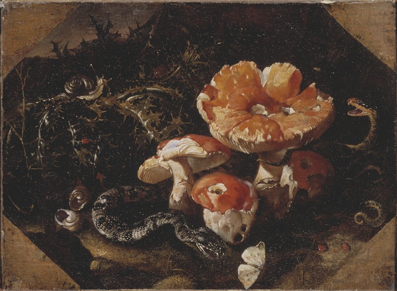 Still life with serpents, fly agarics and thistles