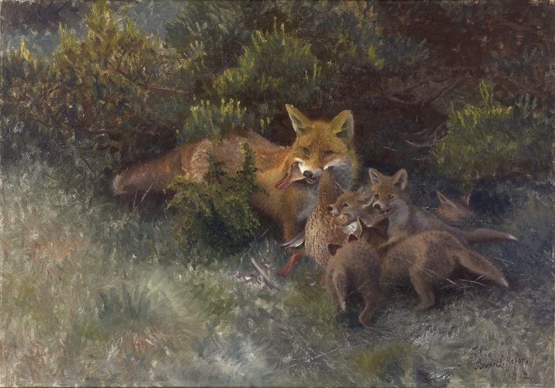 Fox with Cubs