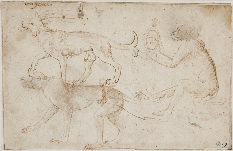 Fabeldjur (Castoro) och två apor, en av dem med en spegel