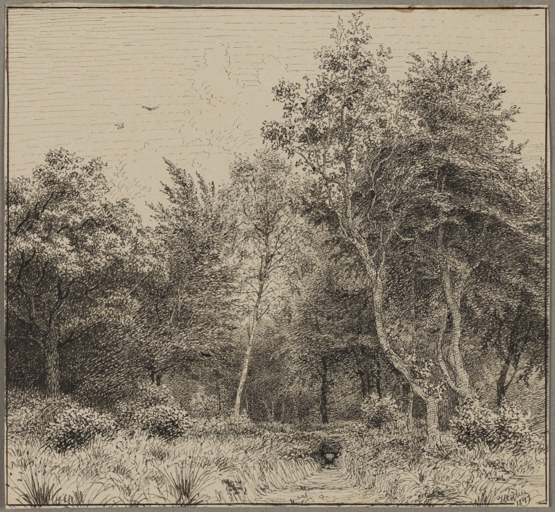 The Jetty in Sandvig’s port, BornholmView of a forest