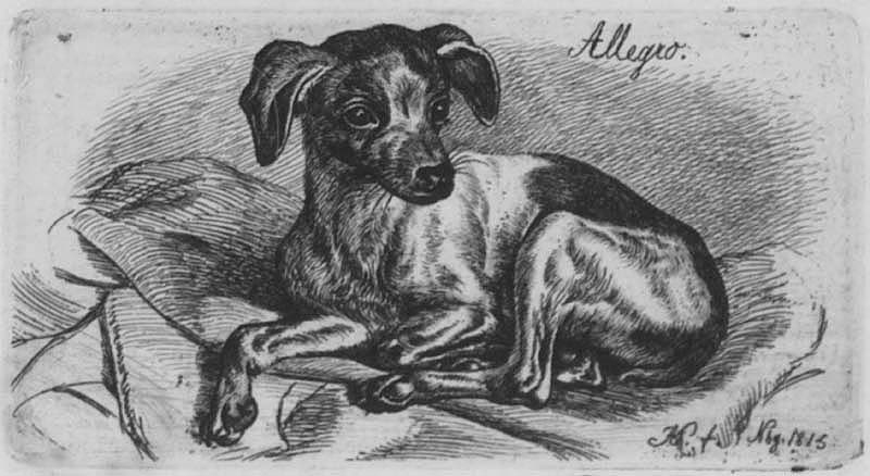 "Allegro", liggande knähund