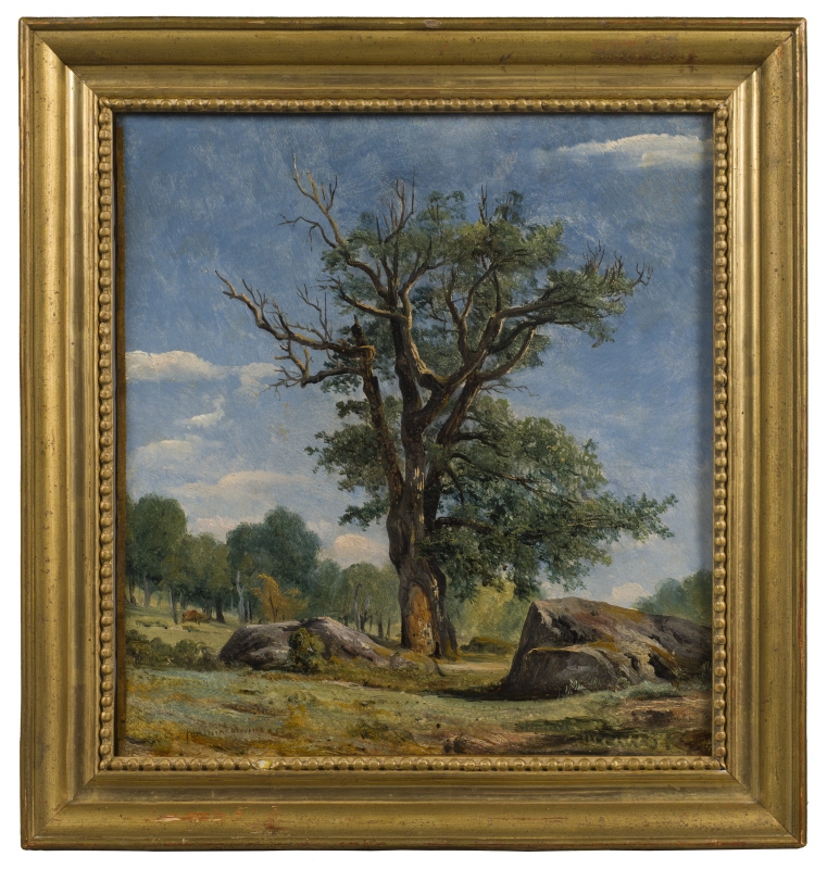 A Tree in the Fontainebleau Forest. Study