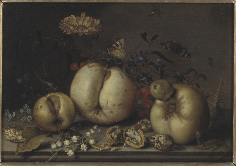 Still Life with Fruit and Shells