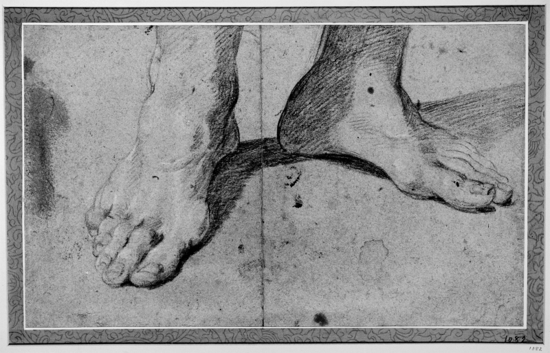 Pair of feet