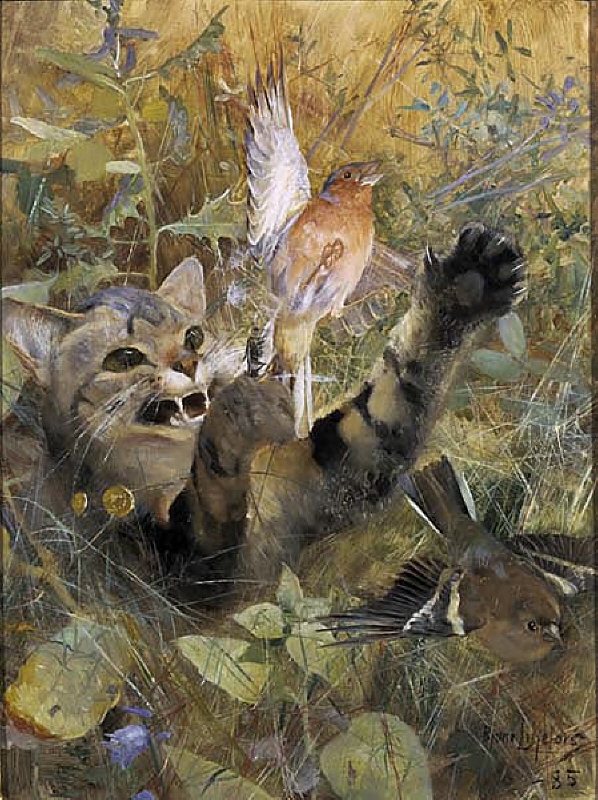 A Cat and a Chaffinch. Five animal studies in one frame, NM 2223-2227