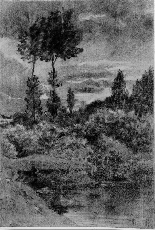 Landscape with poplars