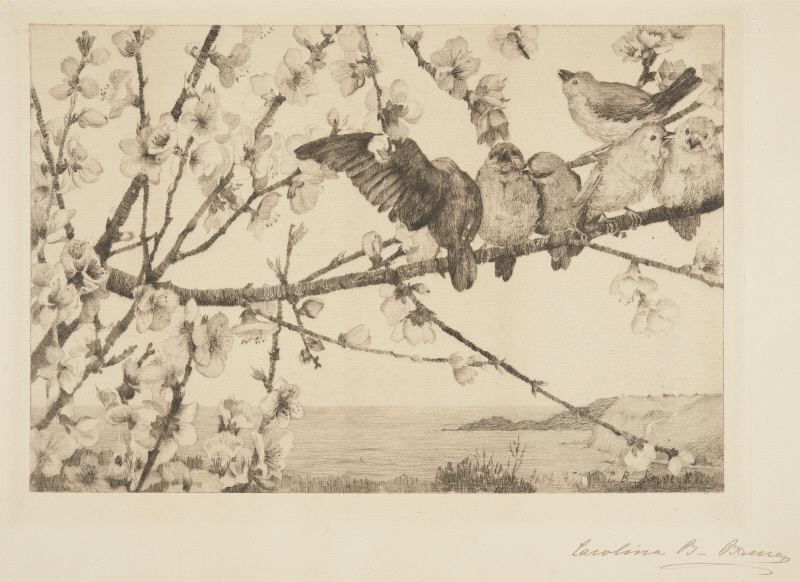 "Fåglar bland persikoblom" motiv från Medelhavet
