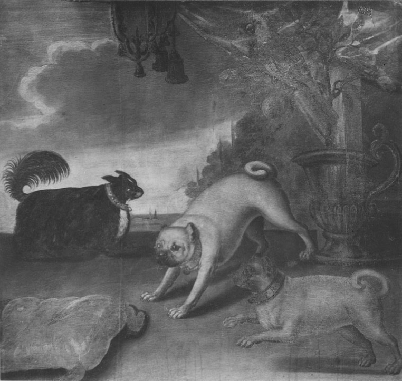 Fredrik I:s mopsar, Ulrika Eleonora d.y.:s lilla hund samt en papegoja