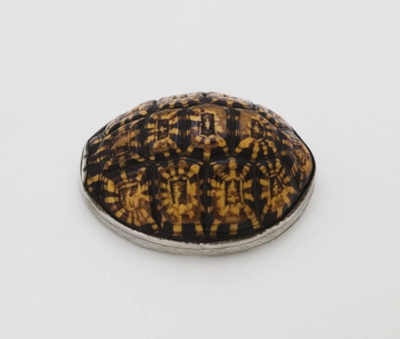 Oval dosa utförd av sköldpaddeskal i silvermontering