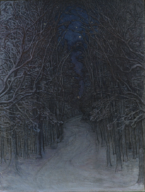 Vinternatt i skogen
