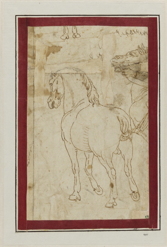 Study of one horse without saddle seen from behind and the head of a second