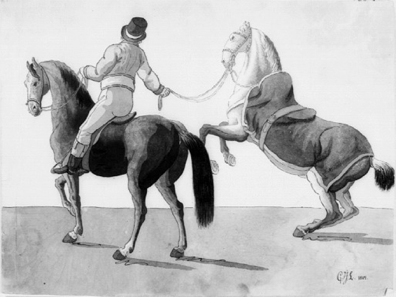 Man och hästar