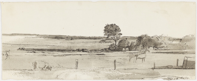 Landscape from Melby