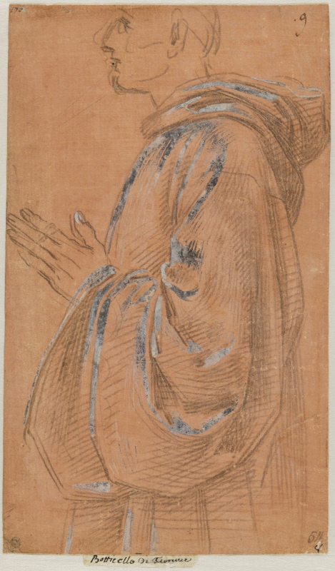Young Monk, left profile