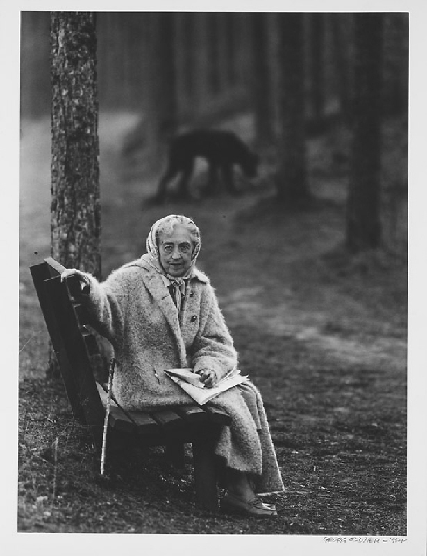 Marika Stiernstedt, 1875-1954, friherrinna, författare (pseud. Mark Stern)