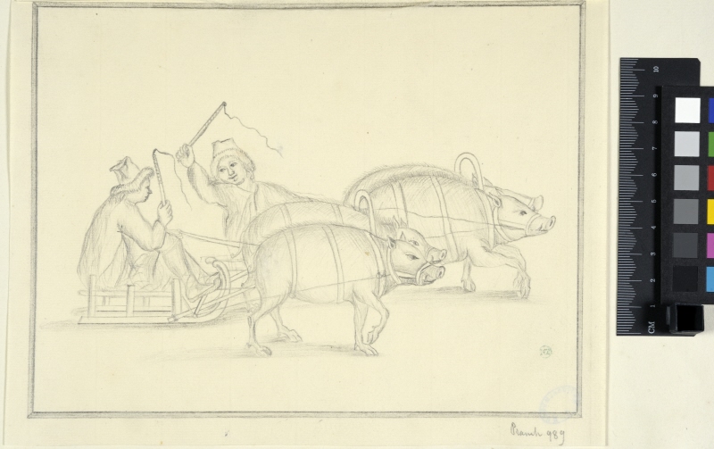 Two Pig-drawn Sleds