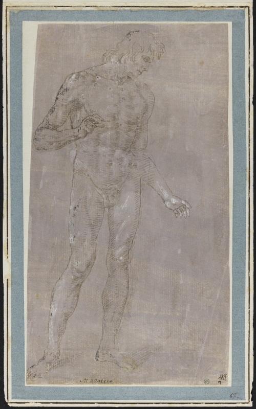 Standing male nude turned to the right