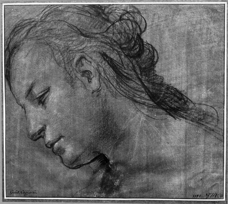Head of a woman in left profile, looking down