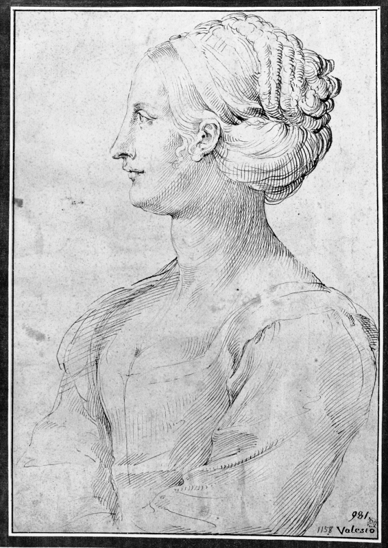 Bust of a woman, profile left