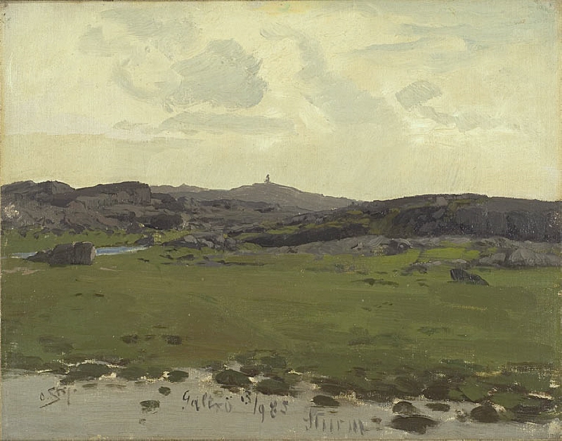 View of Galtrö. Study