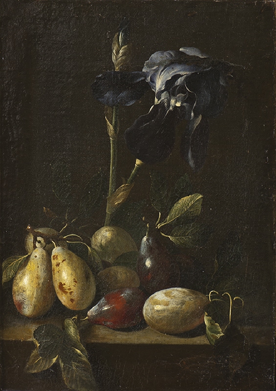 Still Life with an Iris and Plums