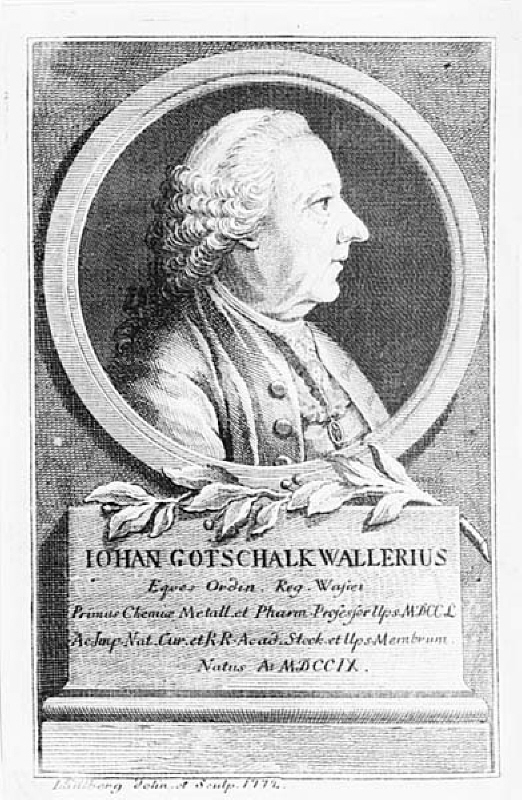 Porträtt av Johan Gotschalk Wallerius