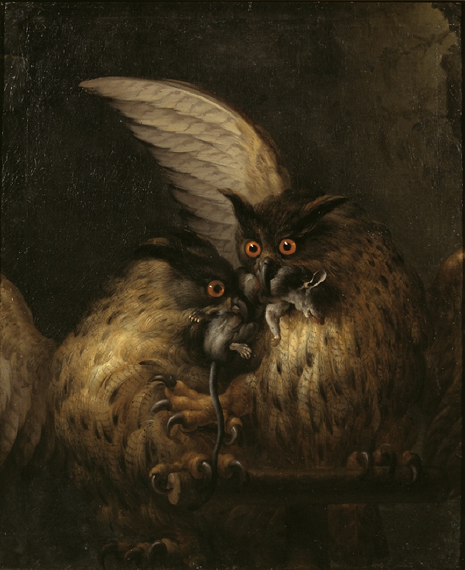 Two owls fighting over a rat