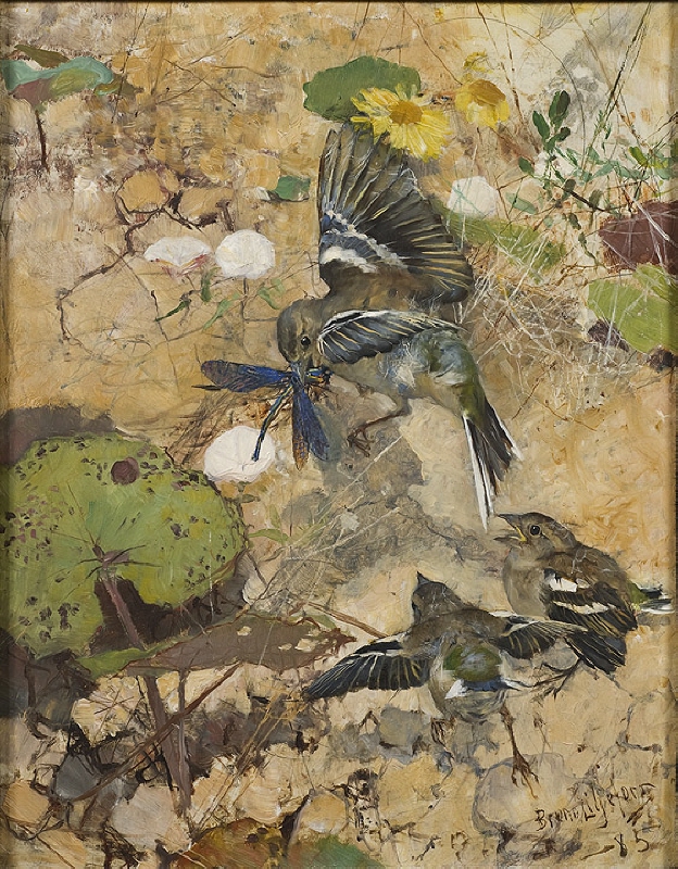 Chaffinches and Dragonflies. Five studies in one frame, NM 2223-2227