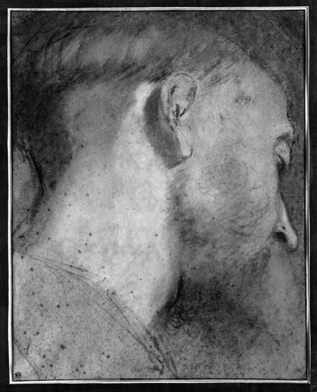Head of a Man Inclined Downwards to the Right