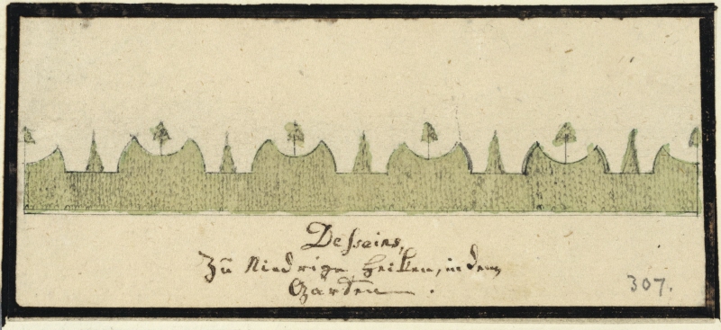 Proposal for Topiaried Hedges for Kiel Castle Garden